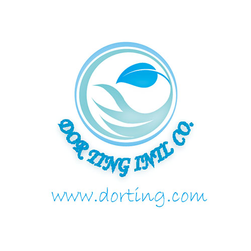 海廷國際｜LOGO設計